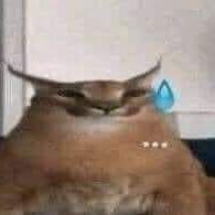 Hanaa445682's profile picture. 