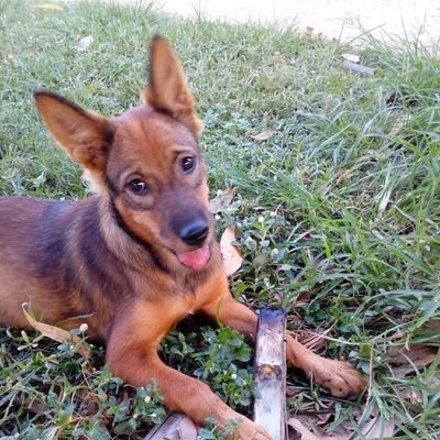 YuththSan38474's profile picture. 