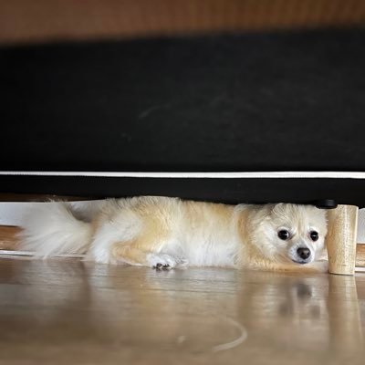 プロフの閲覧ありがとうございます。
バイナリーを気軽に始めて最初はプラスでしたが、気づいたからマイナスに
手法を見直してアノマリーに辿り着く
おかげさまでプラスに転換し、その種銭でFX頑張ってます。
アノマリーツール使ってます!
販売もしているのでお気軽にご相談ください