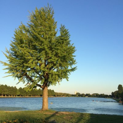 tomio0424's profile picture. 短歌（2023年３月〜） / NHK短歌などに投稿しています