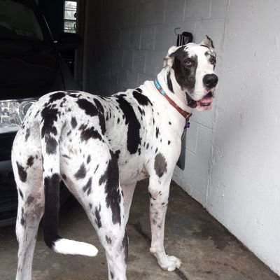 teetek88's profile picture. 