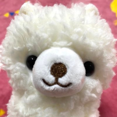 大食いYouTuber大好き❤えびまよちゃんに会うのが夢💖食べる事飲む事作るのも好きな主婦です🐷たまにお家ご飯投稿してます🍚