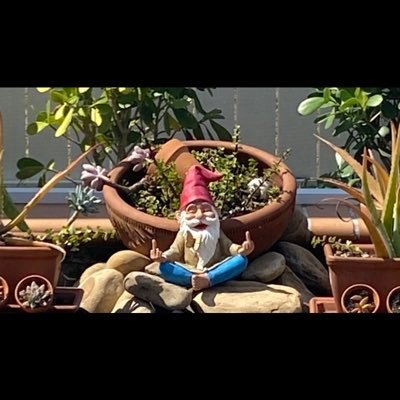 themoreugnome's profile picture. 