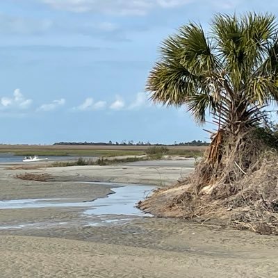 Ruthiecreek's profile picture. 