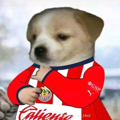 fifacconut