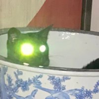 👹 (@onidaway) 's Twitter Profile Photo 👹 (@onidaway) 's Twitter Profile Photo