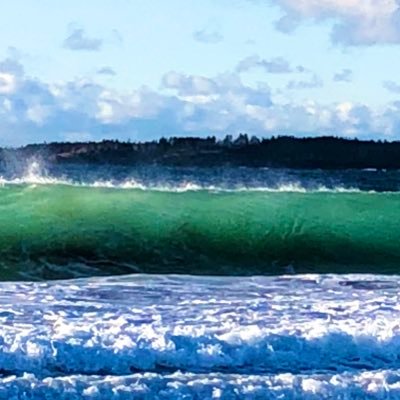 Be kind 🌊🌊🌊 Protect🌎 🏳️🌈Ally We should always have Freedom of Choice‼️ Red Sox⚾️ All pics are mine except captioned pics & RTs No DMs ☮️ Harris & Walz💙