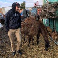corey scher (@coreymaps) 's Twitter Profile