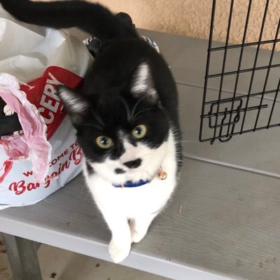 Brendas137540's profile picture. 