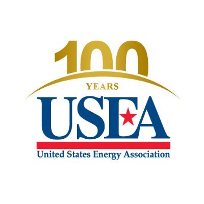 U.S. Energy Association Profile