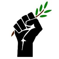 Green & Black Cross (@gbclegal) 's Twitter Profile Photo Green & Black Cross (@gbclegal) 's Twitter Profile Photo