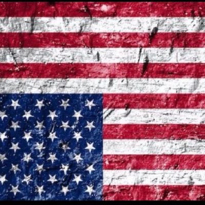 KatieSlane7's profile picture. . MAGA Catturd Dilley.  Not a bot just an old lady in SoFla. today I get to pick out a new pic. now I have to figure out how to do it. 😎🇺🇸  Daddy's home!