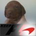 Dot Kewley (@prettyvizsla) Twitter profile photo