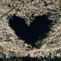 あちゃん (@aaa_yyy_aa) 's Twitter Profile