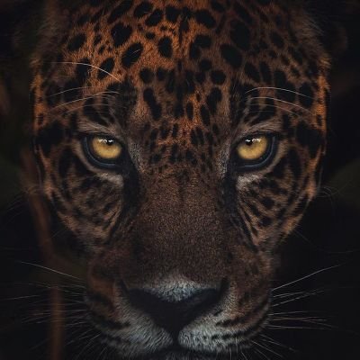 MCarolinaaa28's profile picture. 