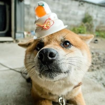 HeithemBejaoui's profile picture. 