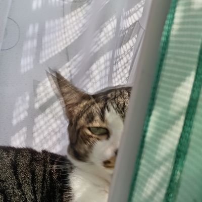 H0llow0421's profile picture. A gamer and Art lover