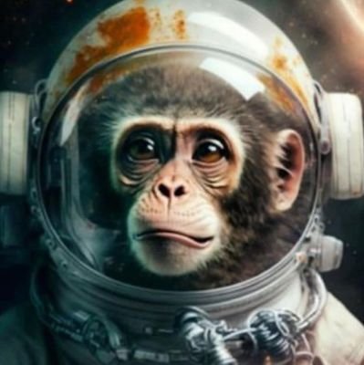 Web3 | Airdrop Enthusiast | Interested in anything related to Crypto 🪂📈