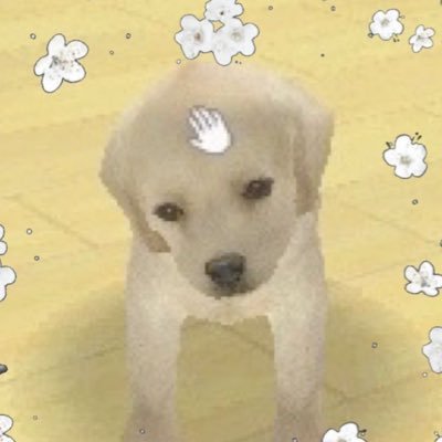 hyosang422's profile picture. 복복복