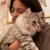 ak gap²⁴ ⭒ֺ𓏲 🌷 ִֶָ⭒ֺ ִֶָ (@spicylibs) 's Twitter Profile