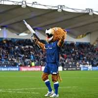 Leo the Lion (@leinsterleo) 's Twitter Profile