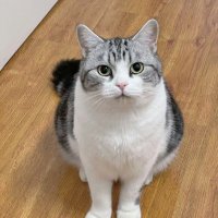 tommy (@tommy631023583) 's Twitter Profile
