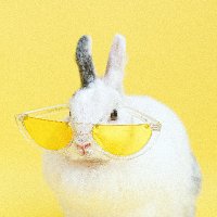 まち移行中 (@axpiip1174975) 's Twitter Profile