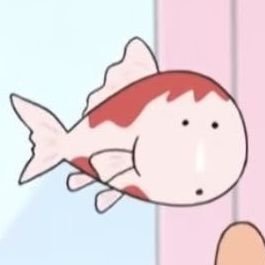 성개알