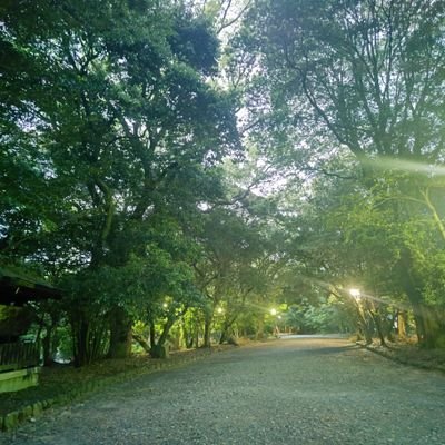 hirokey_photo's profile picture. 📌岡山・広島