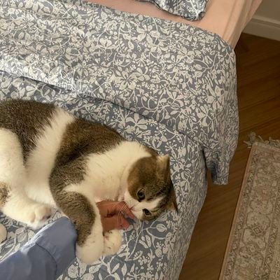 coklatsd's profile picture. Dreaming 🍃