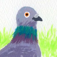 関根まさみち (@macyans) 's Twitter Profile