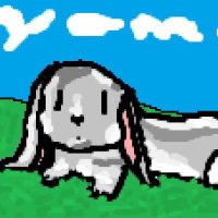 Robin 🐰 (@y0maa_) 's Twitter Profile