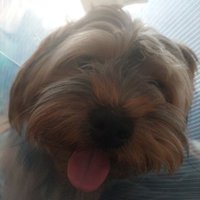 kooglarz (@kooglarz) 's Twitter Profile Photo kooglarz (@kooglarz) 's Twitter Profile Photo