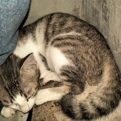 jhonkurt113's profile picture. 