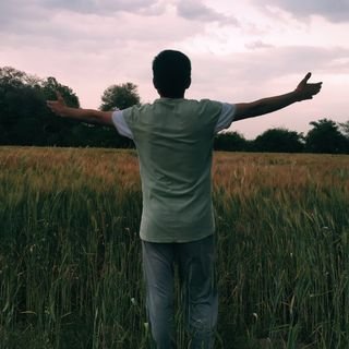 ankitsuthar03's profile picture. 