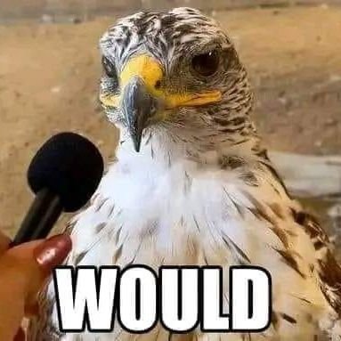 nobdy404's profile picture. 