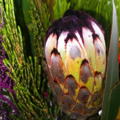 B_PLEEZ's profile picture. I Keep My Head High And My Middle Finger Even Higher.
Maverick Approach. 
I Know My Souls Intentions. 

Vitamin B¦tch Pleez. 💋

INTP