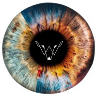 Wavewulf (@wavewulf) 's Twitter Profile