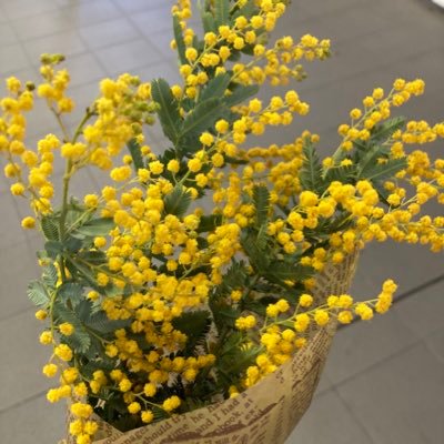 0ypskjkHmE24452's profile picture. 一応2027中受アカだけど関係ない事頻繁つぶやきますので嫌な方は逃げて。無言フォロー失礼します🙇‍♀️⛄️