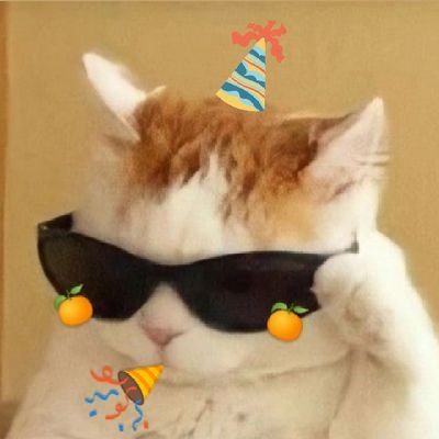 gonna ✨kkaepjjang✨-ing my way through life