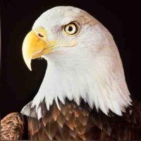 EdwardLashinski (@edwardlashinski) 's Twitter Profile