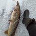 Stepan Angler (@stepashkafisher) Twitter profile photo