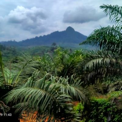 AntoniT68474946's profile picture. 