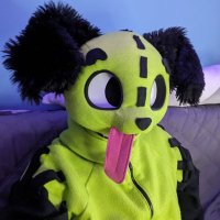 Gurrr (@gurrr_ad) 's Twitter Profile
