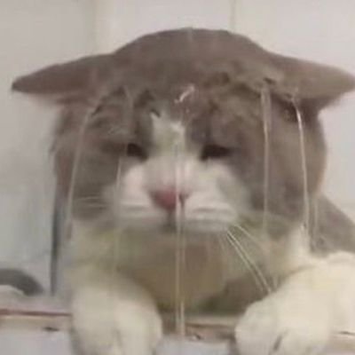 8288さんのプロフィール画像