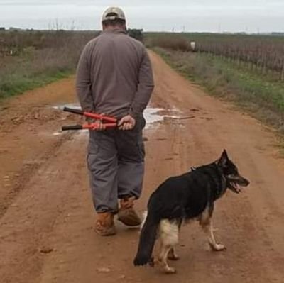 miguelayen's profile picture. 🖕...