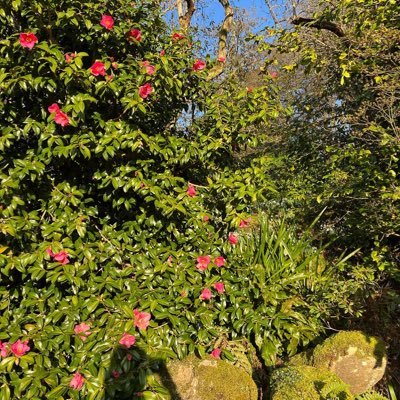 We ❤️ South East England - #Kent #Sussex #Surrey - Please share your stories and pictures 📸