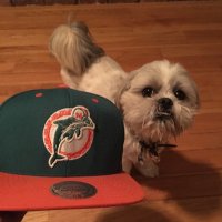 Michael ☕️🎧🐬 (@jerseyphog) 's Twitter Profile