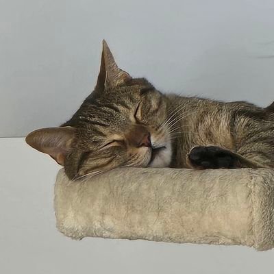 FunkyFernand's profile picture. 