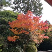 ねるねる(ROM専垢) (@okan_2342) Twitter profile photo